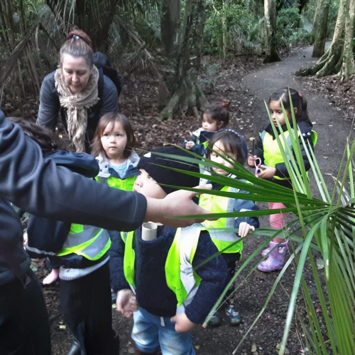 20200810_094439 Natures Point Childcare Papakura