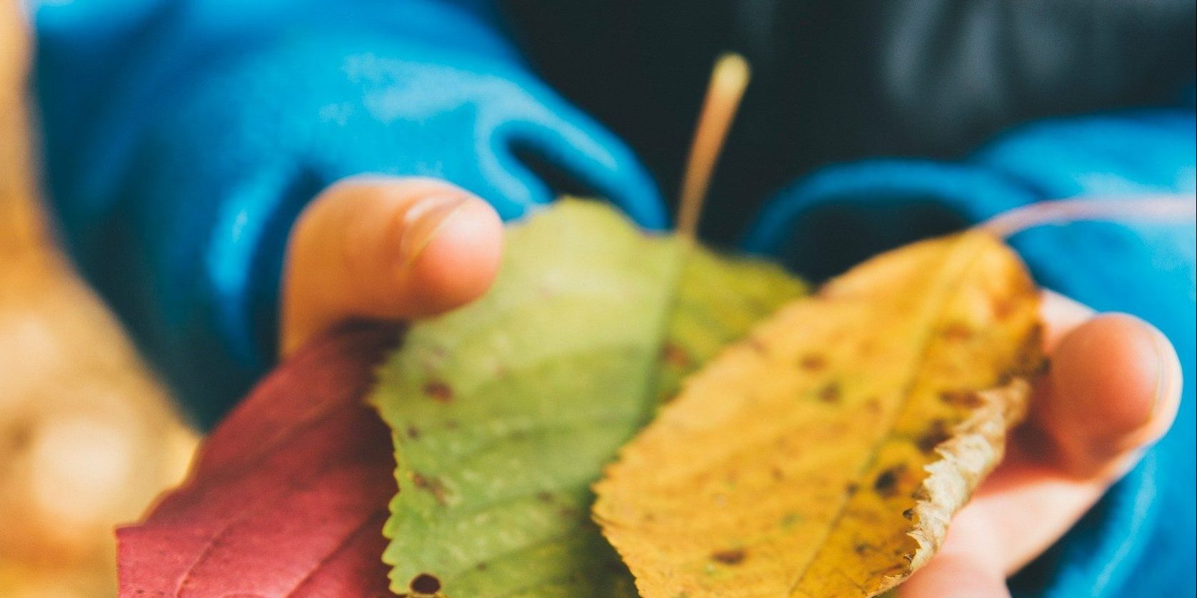 Childcare Papukra – Natures Point – Inspired by nature Childcare in Papkura - Natures Point